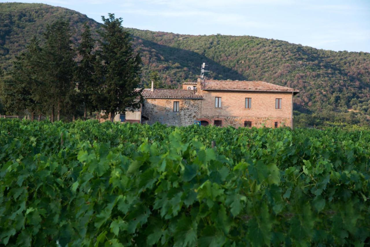 Luce Di Vino Vila Montalcino Exterior foto